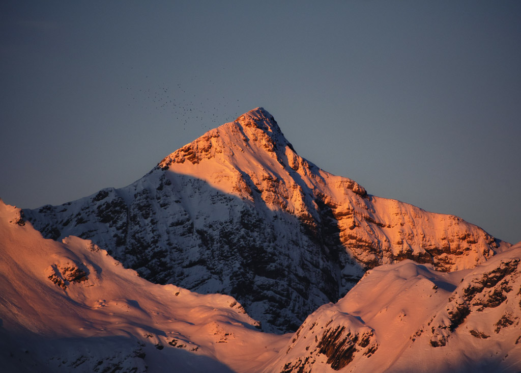 mountain birds sunrise slovenian photographer