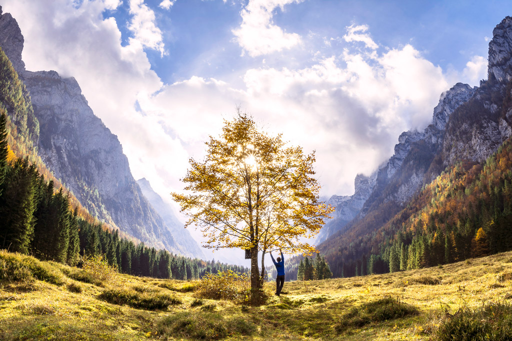 spring mountain valley tree photography slovenia