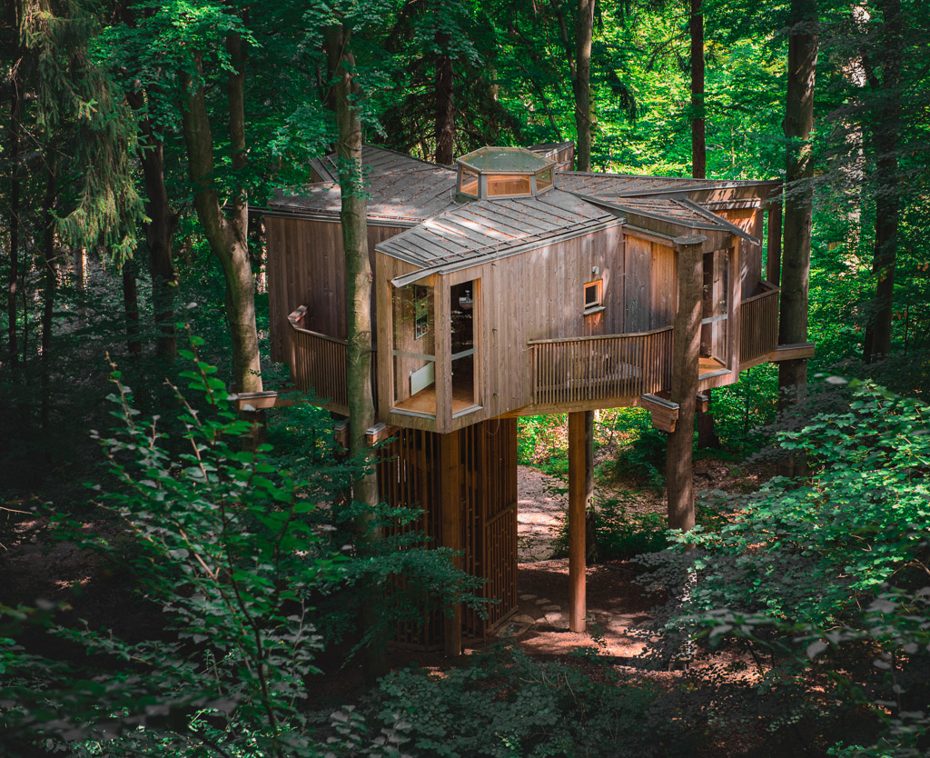 architecture photographer treehouse in forest photography slovenia